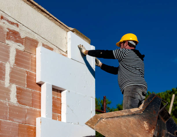Best Cellulose Insulation in Taft, TX