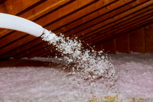 Trusted Taft, TX Insulation Contractor Experts
