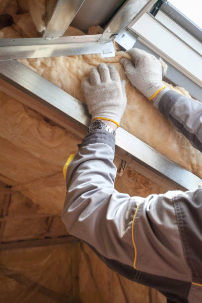 Best Geographic-Specific Insulation Services in Taft, TX