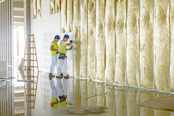 Types of Insulation We Offer in Taft, TX